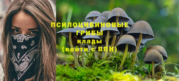 скорость Дмитров