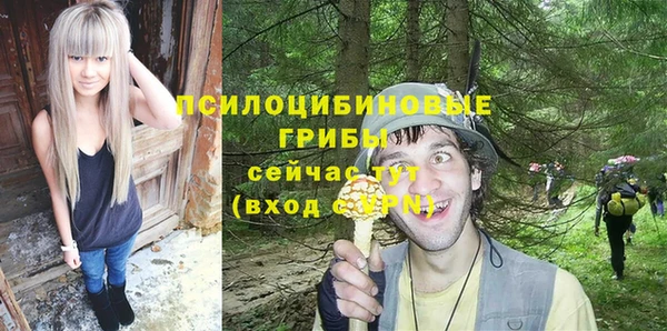 соль курить ск Гусь-Хрустальный