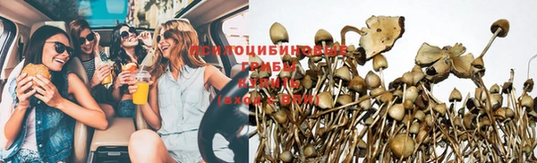 марки nbome Дмитриев
