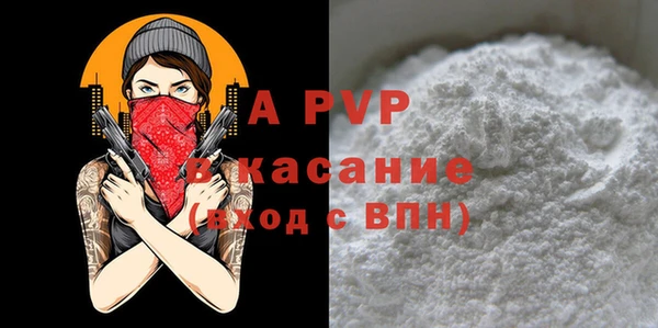 прущие грибы Горняк