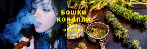 мет Гусиноозёрск