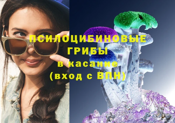 мескалин Гусев