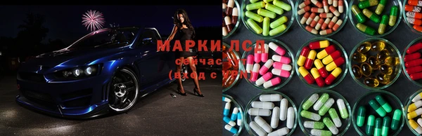 mdpv Горно-Алтайск